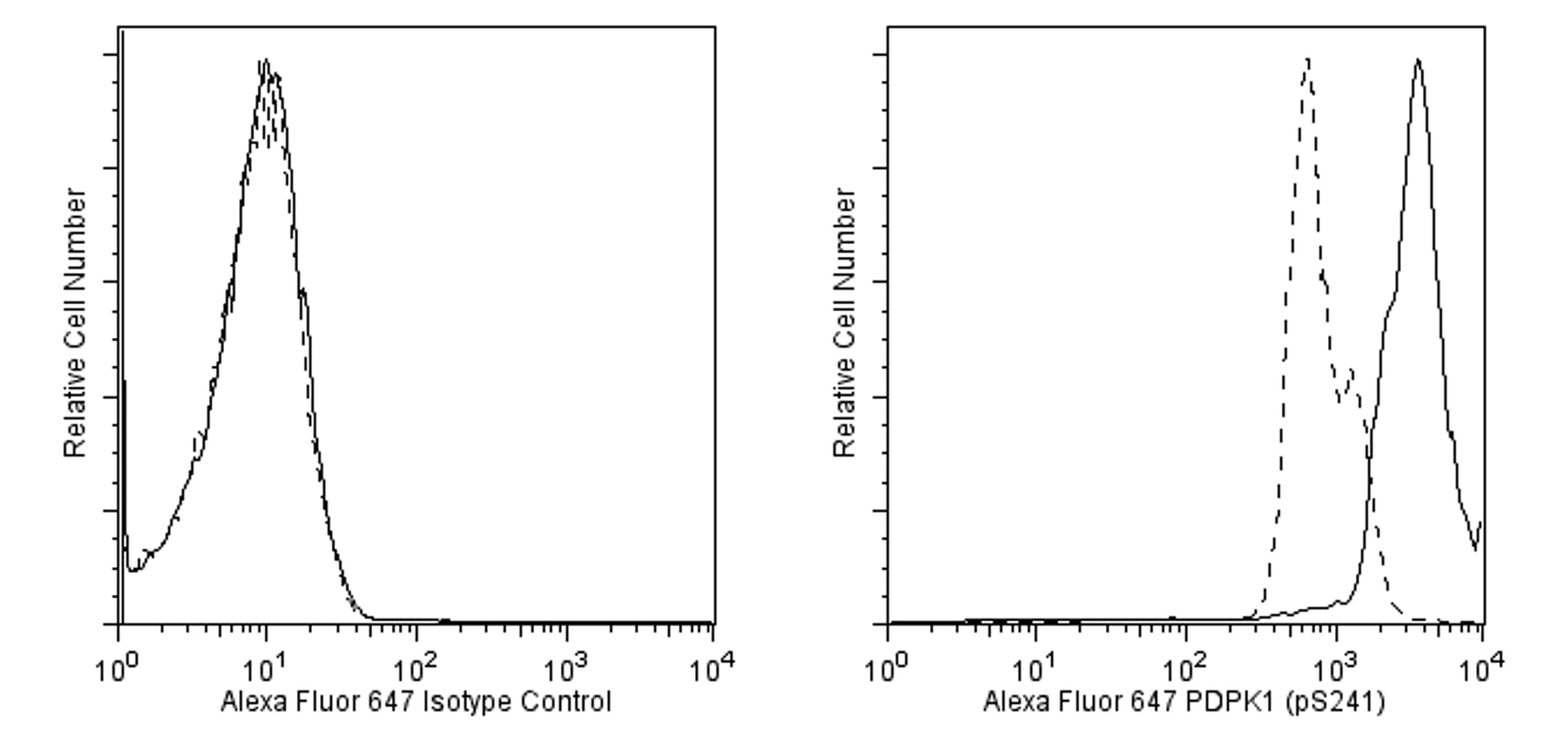 560091Image1.png